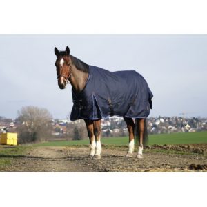 Couverture EQUITHÈME – Classic 1200D