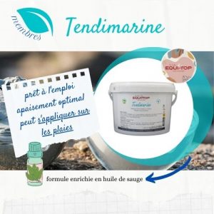 TENDIMARINE Equitop