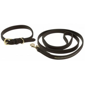 Collier et laisse pour chien EQUITHÈME – Max