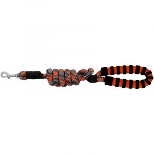 Laisse pour chien avec poignée EQUITHÈME – Haspen