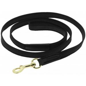 Laisse pour chien EQUITHÈME – Nala