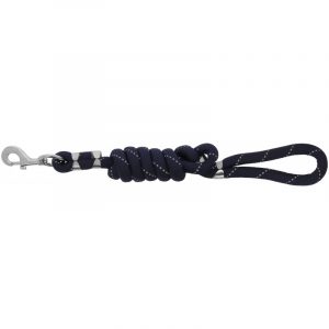 Laisse pour chien EQUITHÈME – Rio