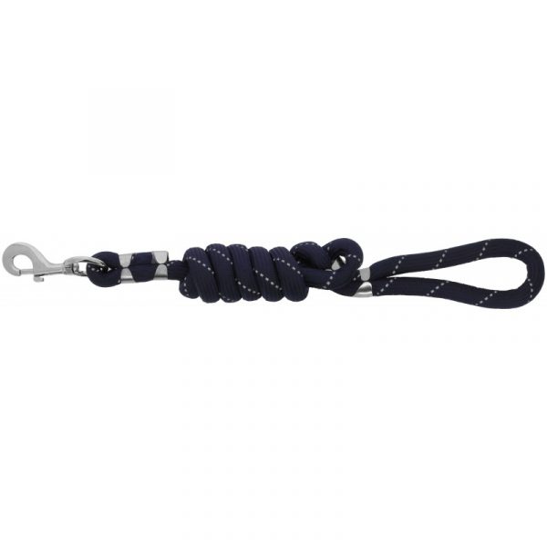 Laisse pour chien EQUITHÈME - Rio