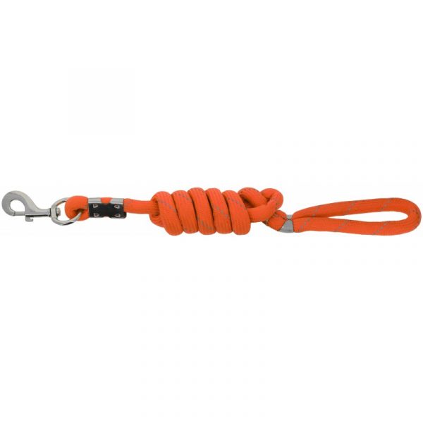 Laisse pour chien EQUITHÈME - Rio – Image 3