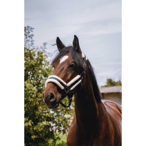 Licol nylon EQUITHÈME – Fashion