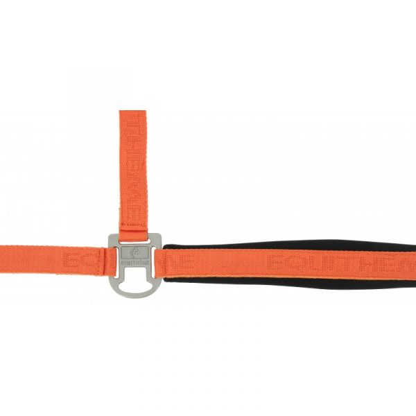 Licol nylon EQUITHÈME - Jacquard – Image 6