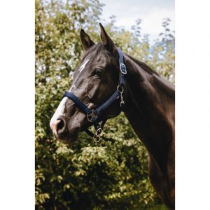 Licol nylon EQUITHÈME – Protector