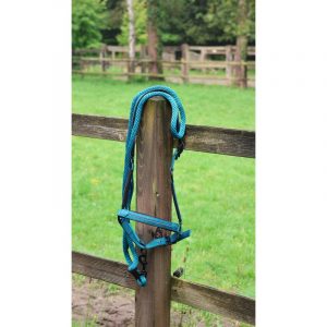 Longe d’attache LAMI-CELL – Charming