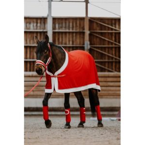 Chemise EQUITHÈME – Xmas