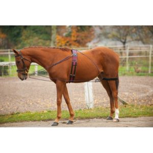 Enrênement NORTON – À poulies