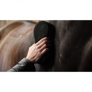 Éponge LAMI-CELL – Shine scrubber