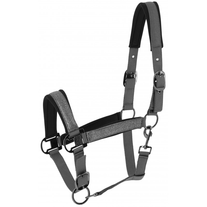 Licol EQUITHÈME - Glowy – Image 3