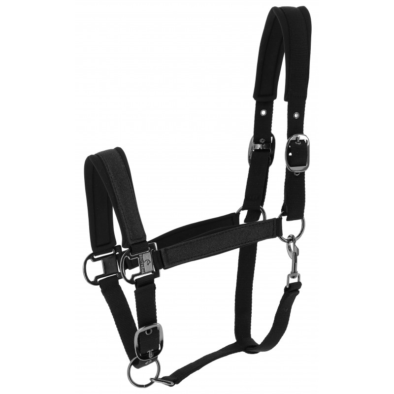 Licol EQUITHÈME - Glowy – Image 7