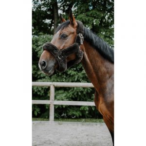 Licol Je t’aime EQUITHÈME – Snuggy