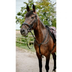 Bridon endurance NORTON – Pop