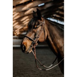 Bridon NORTON – Hunter comfy