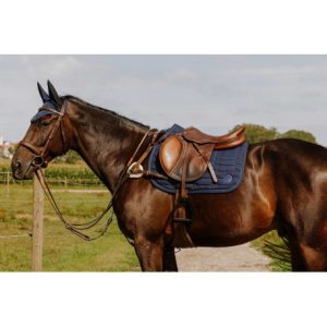 Collier de chasse NORTON PRO – 5 points