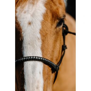 Licol éthologique nylon NORTON – Diams