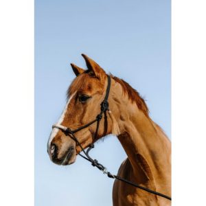 Licol éthologique WESTRIDE – Western