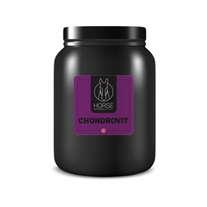 Chondrovit HNP