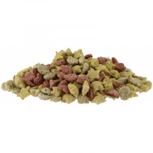 Mini friandises HIPPOTONIES