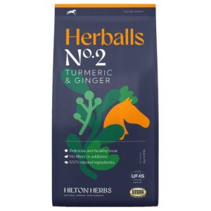 Herballs HILTON HERBS – Curcuma & Gingembre