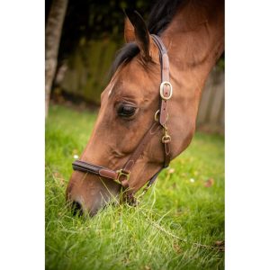 Licol cuir 3 mousquetons – PADDOCK